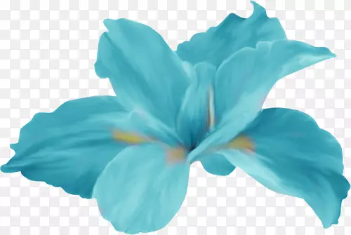 ���������-������