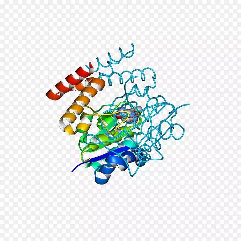 �ߵ������-��-������