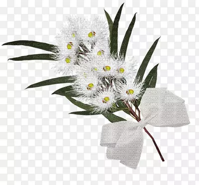 ������ƻ����л�-������