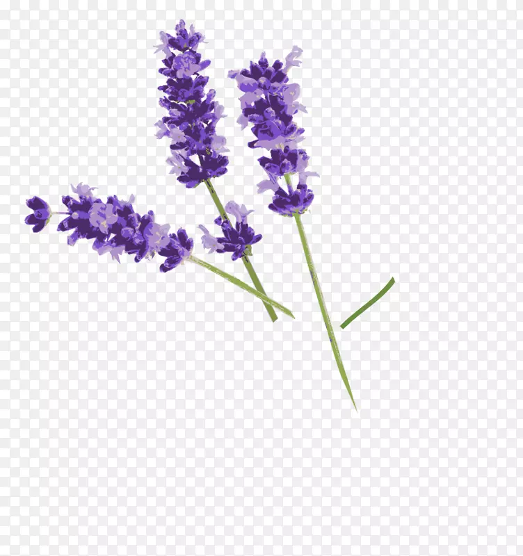 Ӣ��޹�²���ʾշ���޹�²ݻ���ʾ�-������