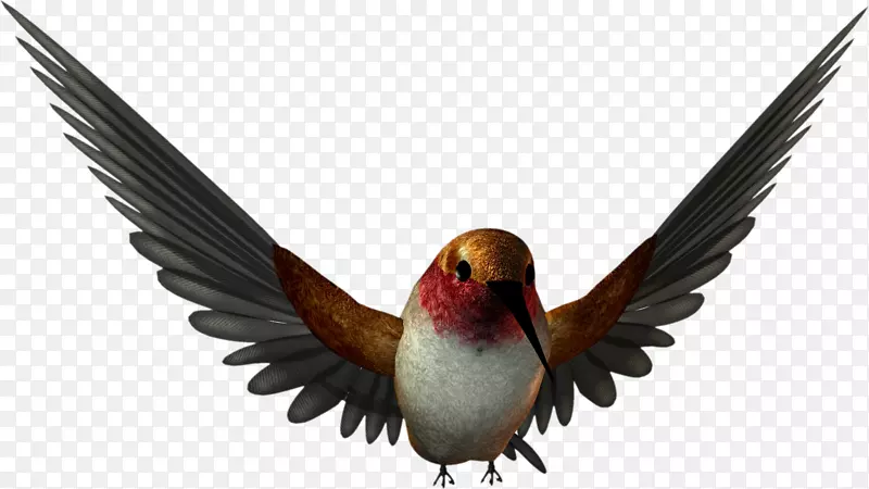 ͼ��ֱ��ʼ�������-������