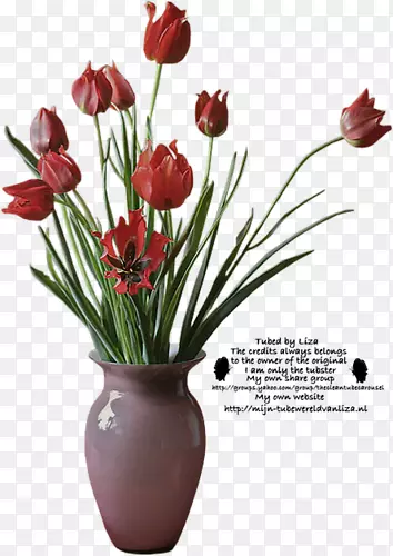 ��������˹������л�.����-������