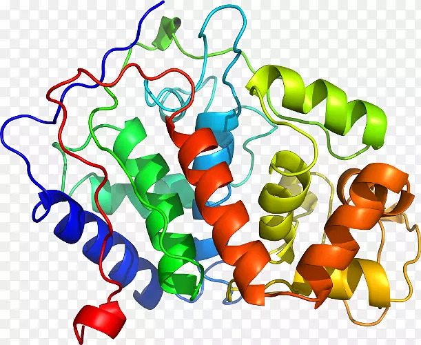 �߲��л���ϵ�м�����-�߲�-������