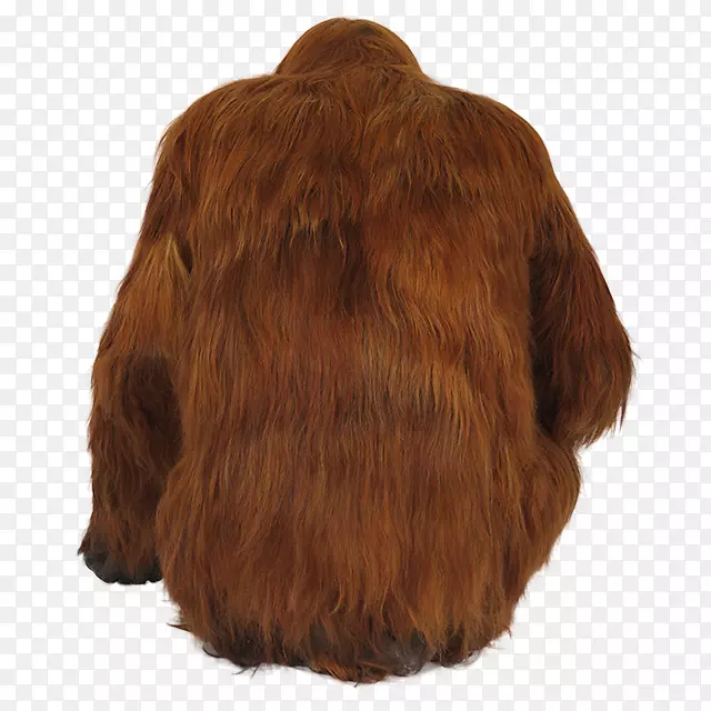 ���ɱ༭-������