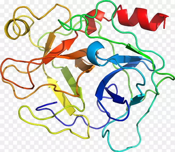 �ߵ�������������-������