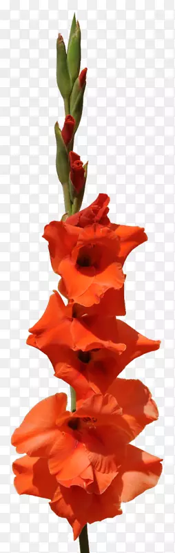 �����ѻ���������-������-������