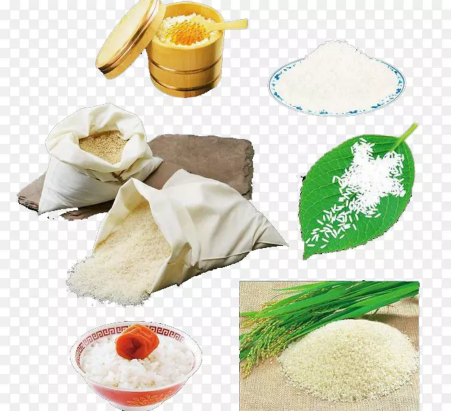 ����Ŵ�������-������