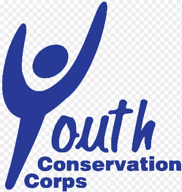 ����ʵ���غ㻯ѧ���غ㶨��-��ѧ-������