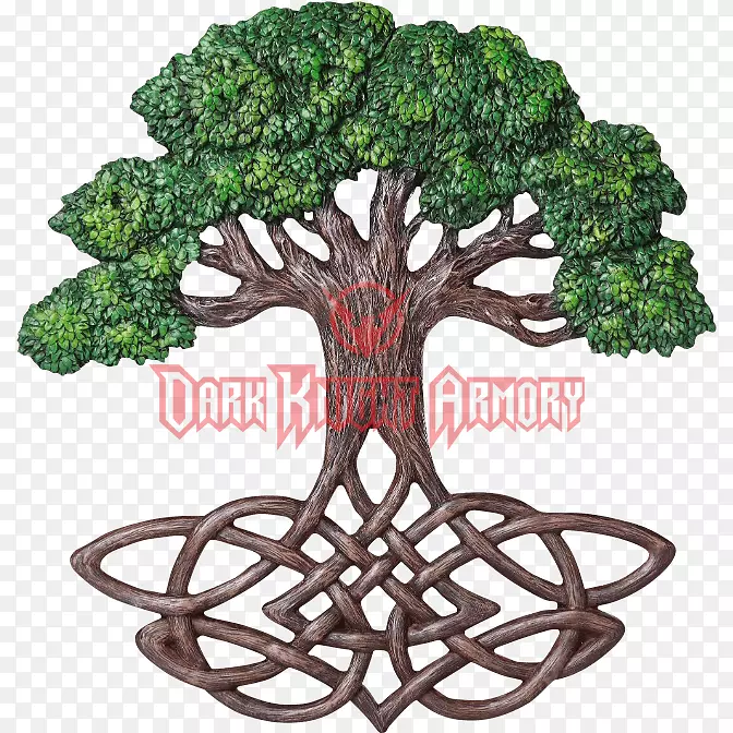 ����֮�������ؽ῭����ʥ������-������