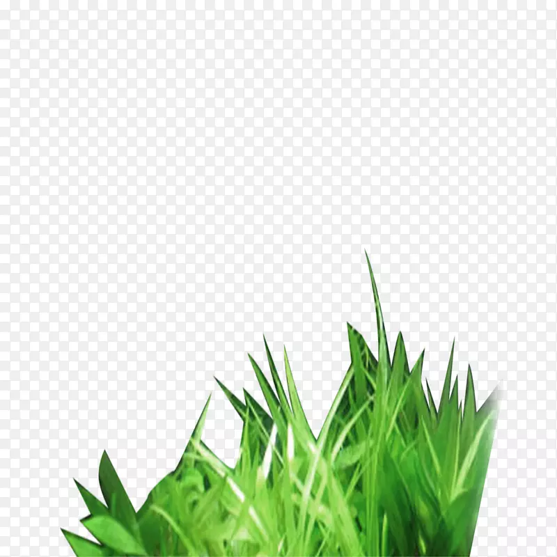 ��-������