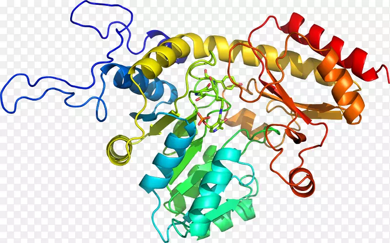 �ߵ������������-������