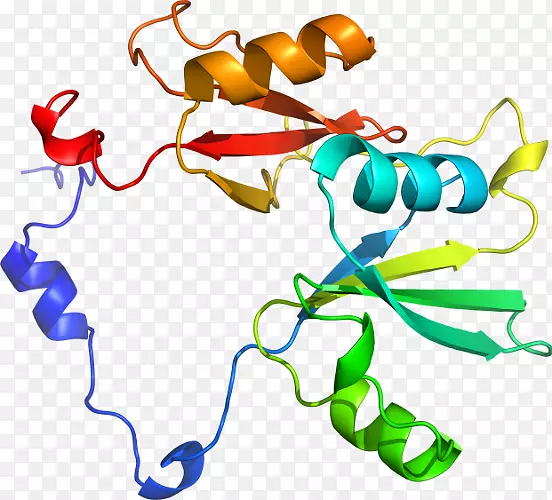 ���������л����߼�������-������