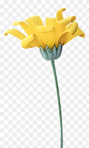 �л�����԰��õ�壬������-��-������