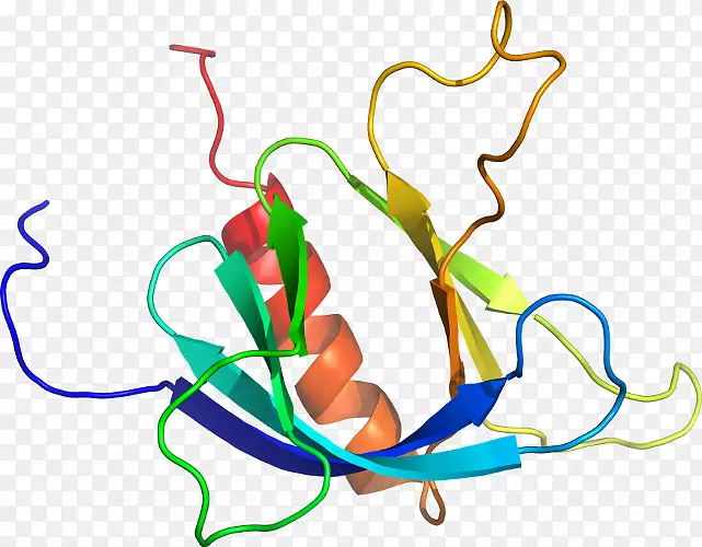 ֱ�ߵ�ֲ�ﾥ��������-������