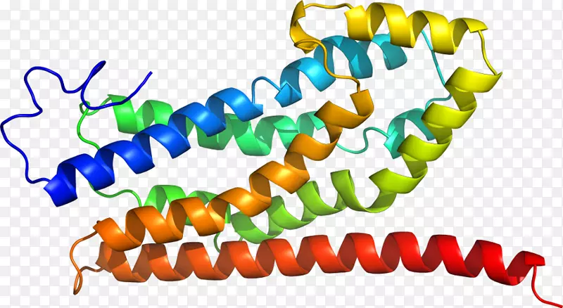 �����鱦���߼�������-������