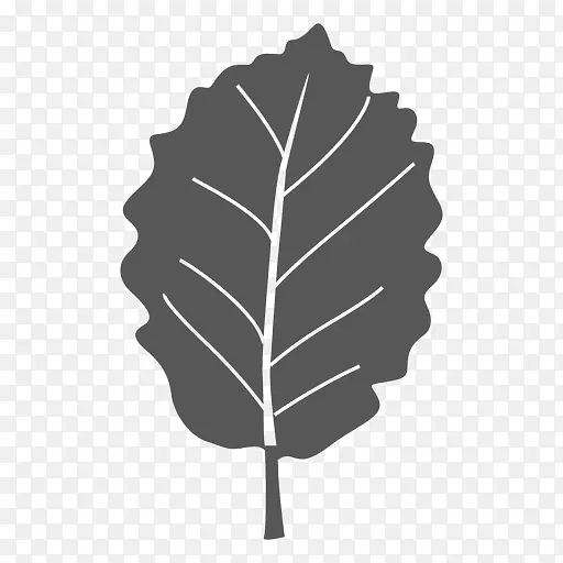 ӣ����ӣ��-������