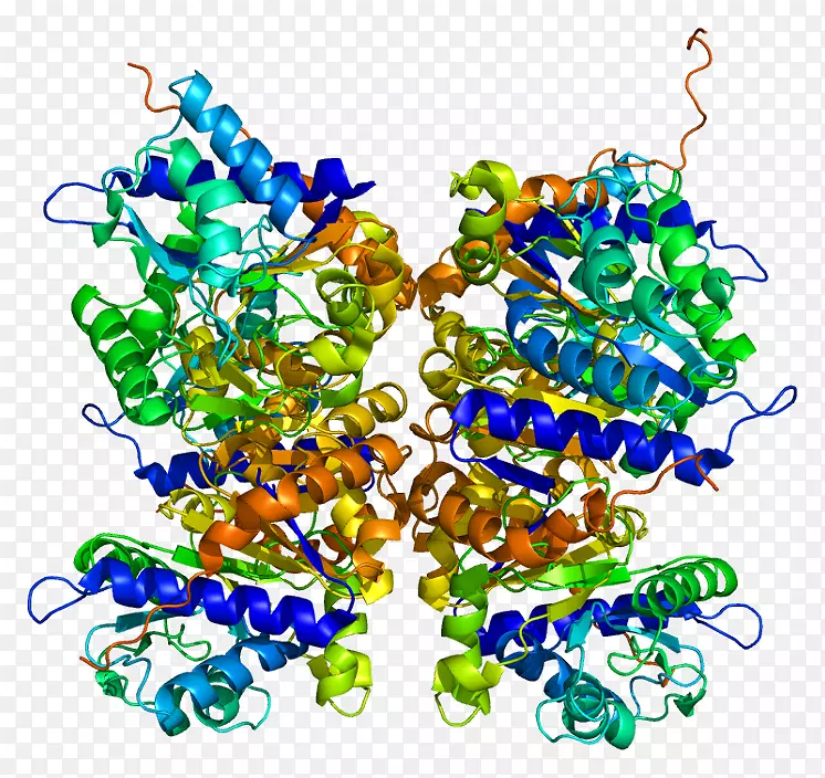 �鱦���μ�����.�鱦-������