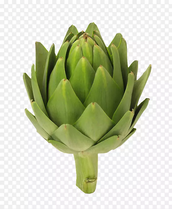 ������ȡ���л�ʳƷ�߲�-������