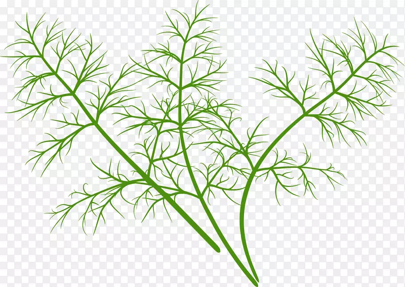 Ģ�����ؼ�����-��ɫ�����ʲ�-������