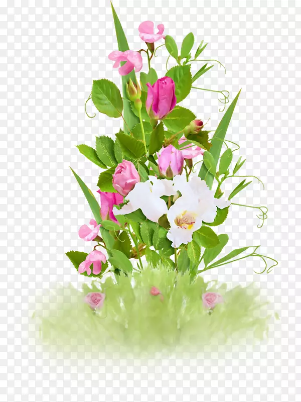 ���յ��⣬���������ؿ���ף��-����-������