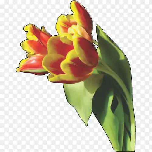 �����㻨������-������-������