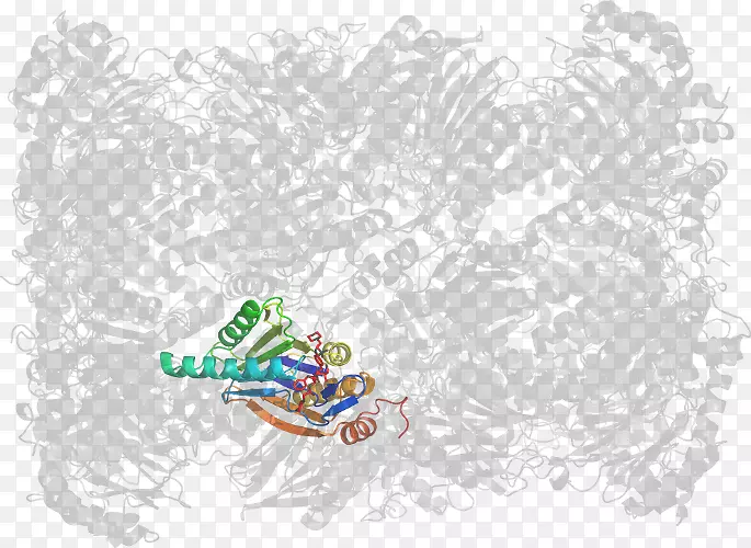 Ь��ͨ��������-������