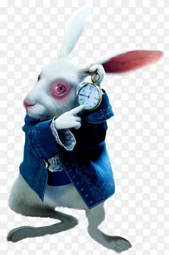 ���ð���˿���ɾ��е�ð�����è���ĺ�-ëë��-������