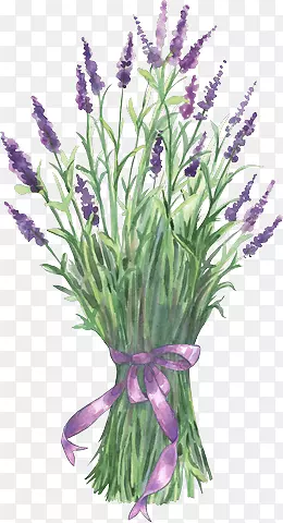 ޹�²ݻ�������-��-������