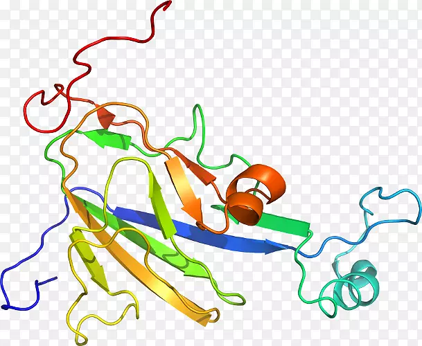 �ߵ�������������-������