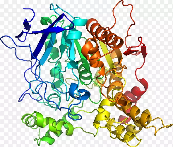 �ߵ������-��-������