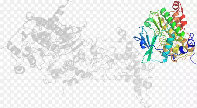 �����-������