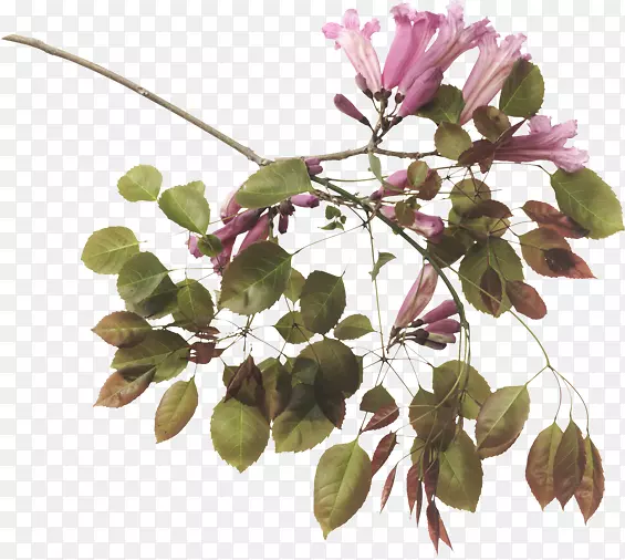 ���ͻ���-��-������