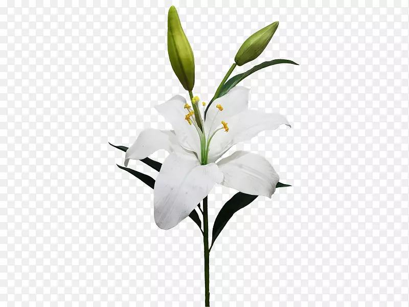 �л������컨���ٺϣ����������-������