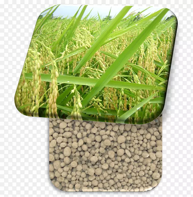 �̱���ˮ����Ʒ��-������