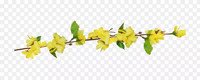 ���ͻ������Բ�����-������