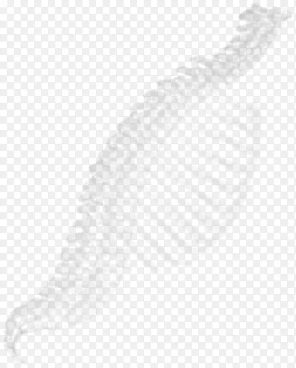 ����ѧ��ɫ���-������