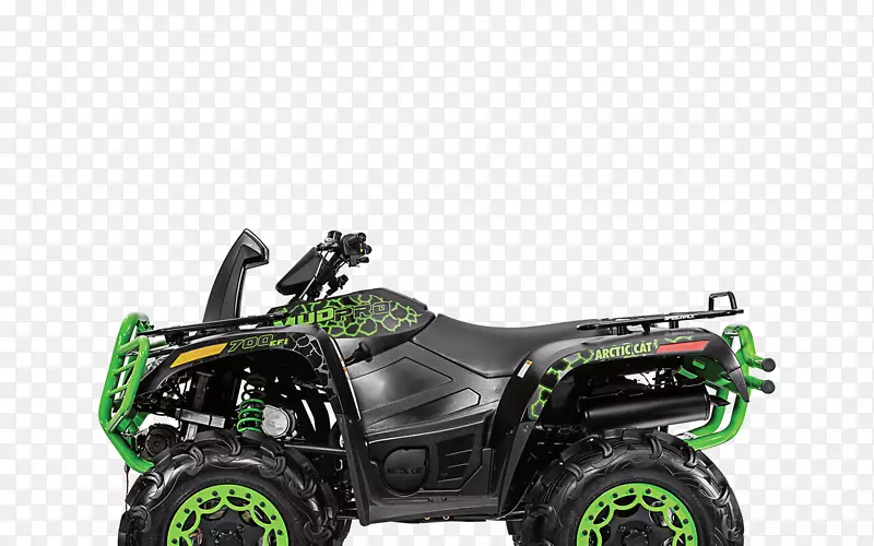 ����-ȫ���γ�������������������è��-����-������