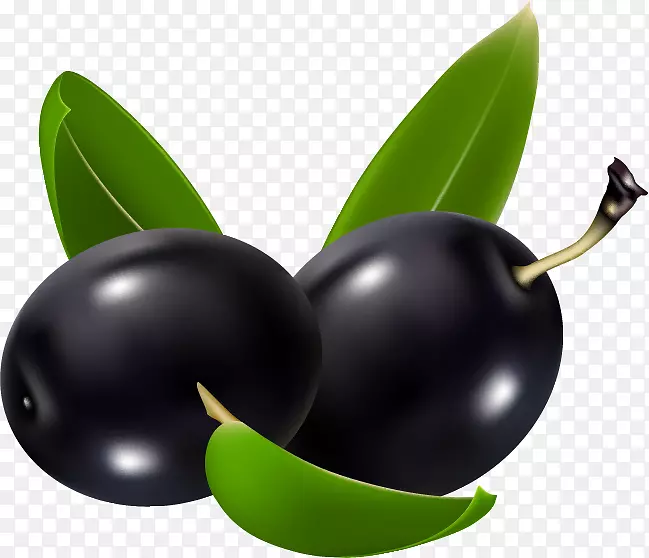 ��ǩˮ�����-������