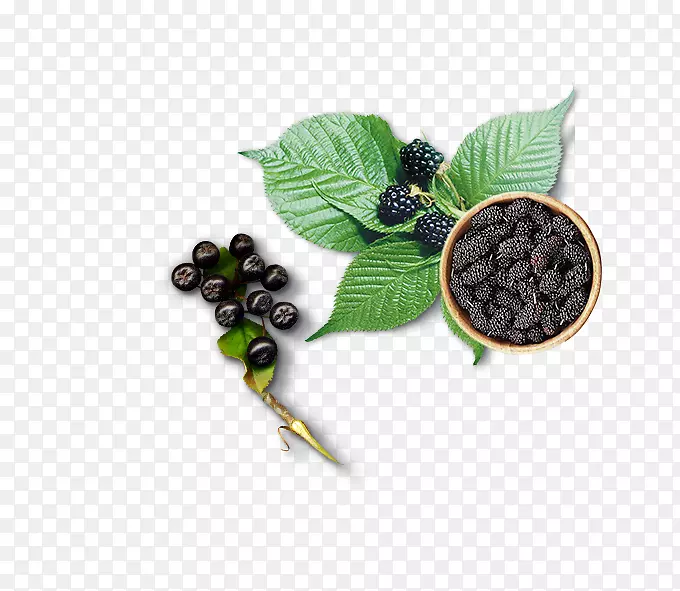 �������ݮ��������ݮ��-������