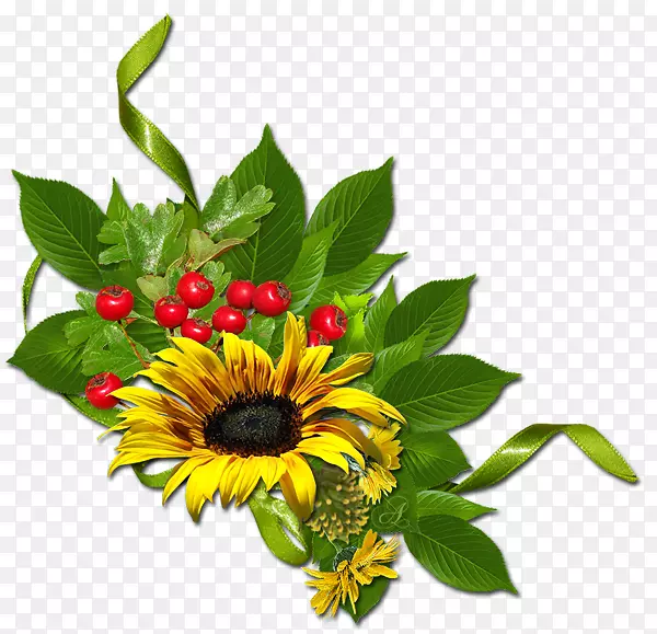 ��ͨ���տ�-������