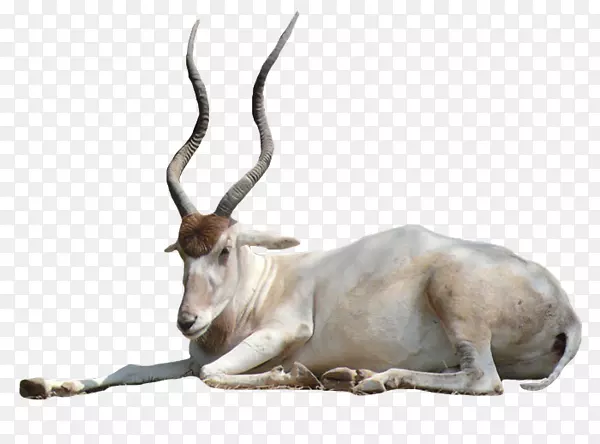 ���������-������