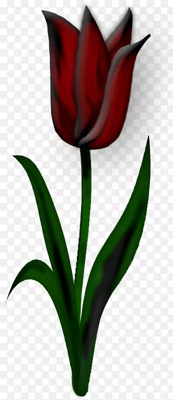 ������廨����-���ɫ������-������