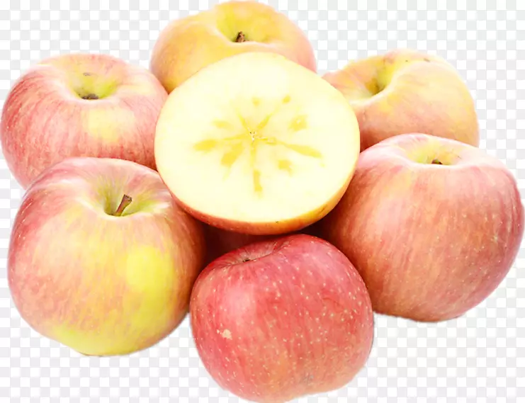 ��������ƻ����������u7d05u65d7u5761u8fb2u5834-������