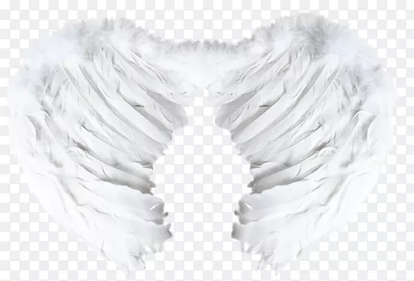 ��������ë-��-������