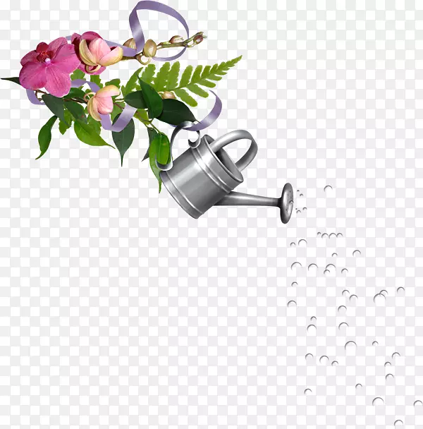 ����LiveInternet������-������