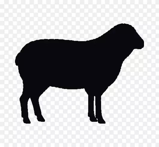 ����˹ţ���찲��˹ţ������-������