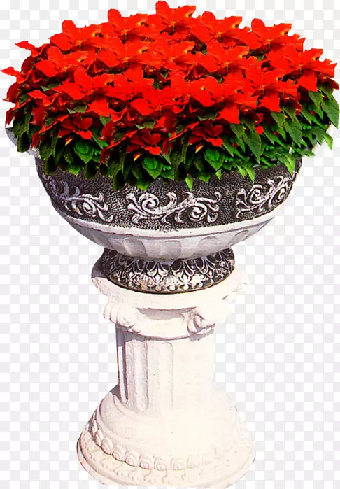 ������ƻ�ƿ�л���ƿ-������