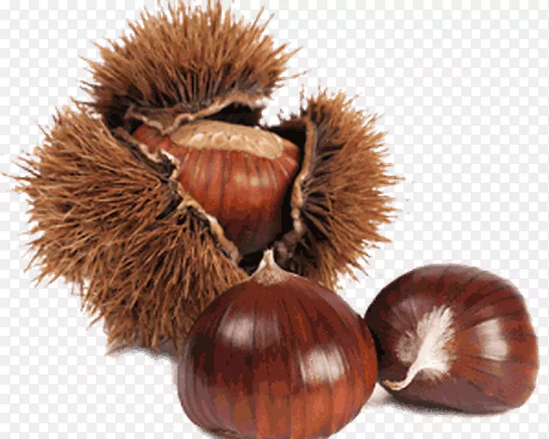 �����������Ӱ-������