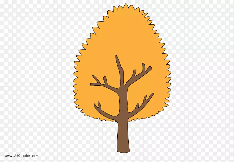 ��ͼ����դͼ��ֽ��-������