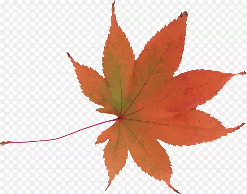 �＾��Ӱ�ռǲ���-����-������